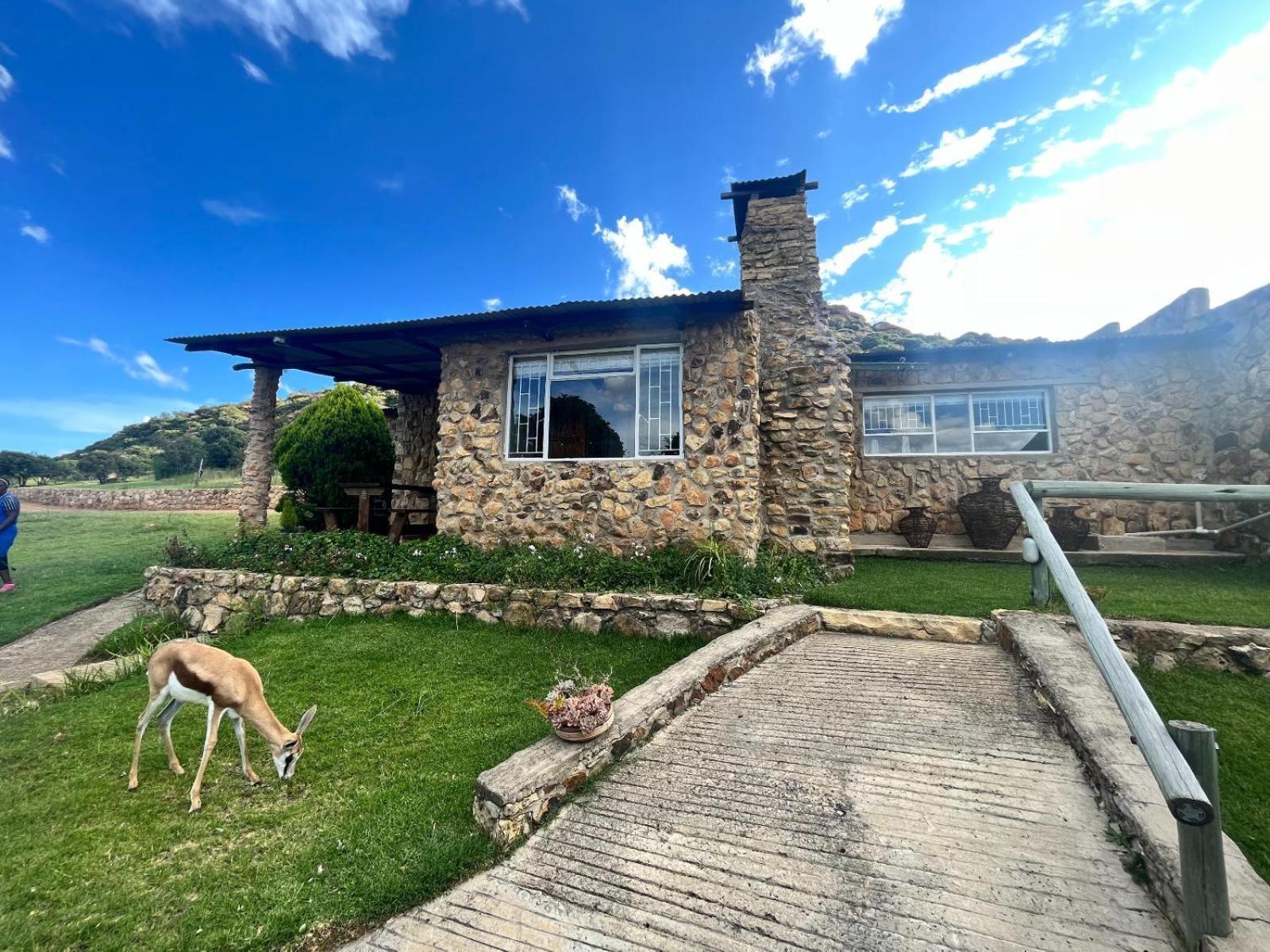 Uitzicht Private Nature Reserve And Lodge 富里斯堡 外观 照片